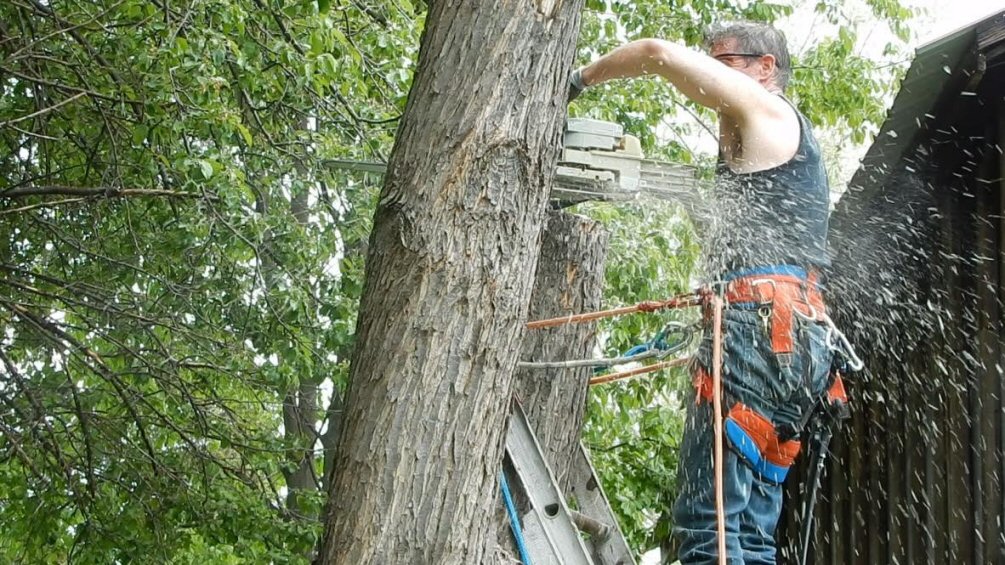 Stihl MS200T